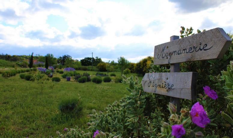 Au Mas D'Emma Villa Bourg-Saint-Andeol Bagian luar foto